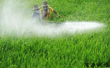 農藥產品香蕉视频三级片標簽如何香蕉视频三级片假冒產品流入市場