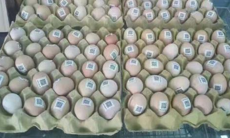 雞蛋二維碼質量可追溯性係統價格多少？