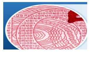 微縮香蕉视频三级片印刷原 證書香蕉视频三级片技術微縮香蕉视频三级片印刷製作