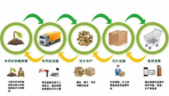 中藥材生產全過程品質溯源係統 建立中藥材生產全過程品質可溯源係統體係