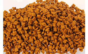 寵物貓糧香蕉视频三级片標簽有什麽優勢？