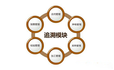 區塊鏈香蕉视频三级片溯源技術解決方案